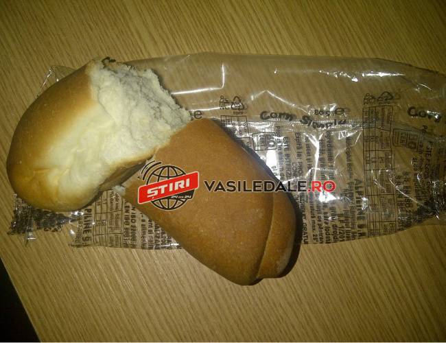 17 şcoli din Maramureș au WC în fundul curții și copiii primesc uneori lapte stricat și corn mucegăit