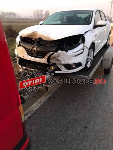 ACCIDENT LA ROMANIŢA: Mistreţ lovit de o maşină (FOTO)