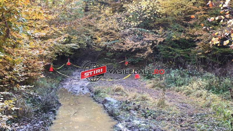 ACTUALIZARE: Persoanele care l-au văzut ultima dată în viaţă pe pădurarul împuşcat, testate cu detectorul de minciuni