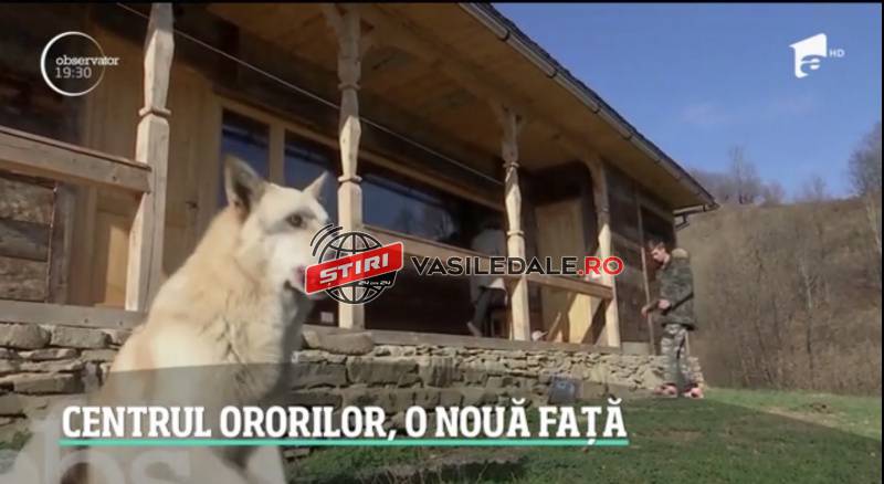 EXCLUSIVITATE / ACTUALIZARE: Centrul de reeducare din Vişeu de Sus a fost închis. Copiii, trimişi în Germania, o parte fugiţi în Slovacia şi Cehia