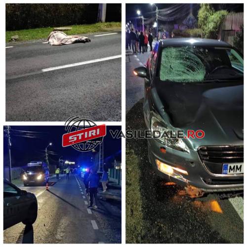 Tragedie La Satu Nou De Jos Actualizare O Femeie Accidentată Mortal De Un Autoturism Galerie Foto Stiri Din Maramures Vasile Dale