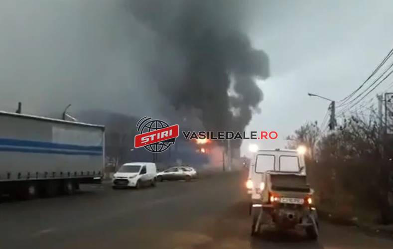 FOTO, VIDEO: Incendiu la o hală industrială din Câmpia Turzii