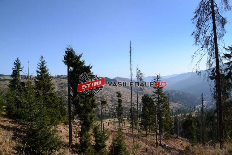 EXPLOZIV ÎN PRESA BELGIANĂ: „În Maramureș sunteți pe cont propriu. Acesta a fost răspunsul poliției când am cerut protecție”