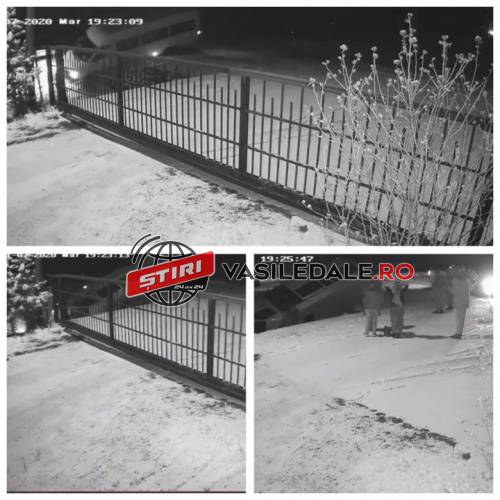 EXCLUSIV: Impactul de la Stejarul, surprins de o cameră de supraveghere EXCLUSIV: Impactul de la Stejarul, surprins de o cameră de supraveghere
