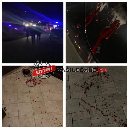 URMARE BĂTAIE CLUB / ACTUALIZARE: Şase persoane, implicate în scandalul din Baia Mare, reținute de polițiști pentru 24 de ore, puse în libertate de procurori (FOTO/VIDEO)