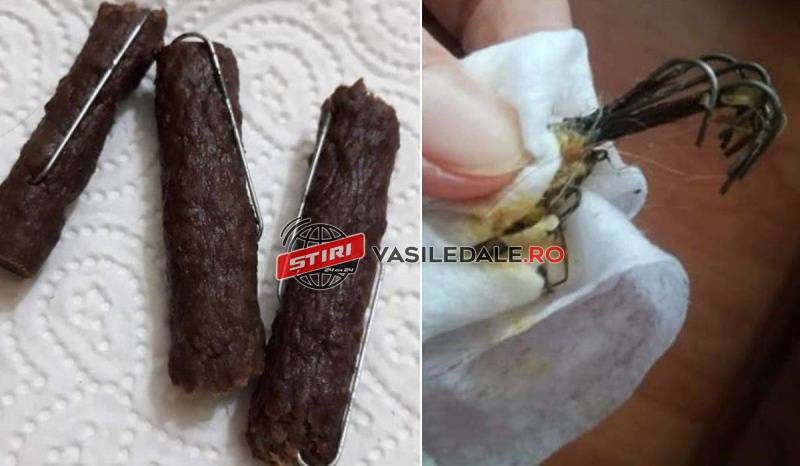 PENTRU A OMORÎ CÂINI ŞI PISICI: Cârnaţi cu ace de pescuit aruncaţi pe străzile din în Baia Mare