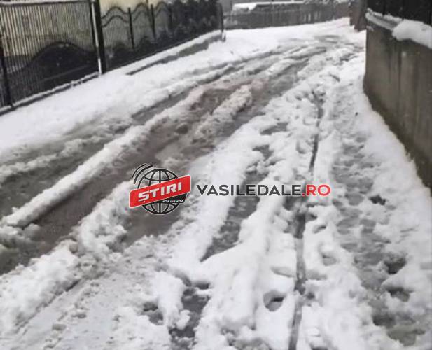 iarna poienile de sub munte