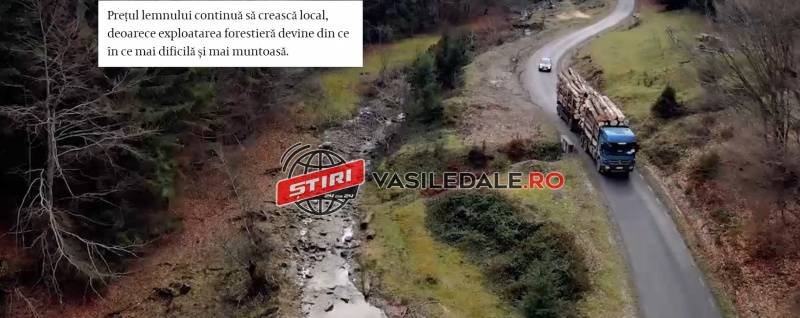 MARAMUREȘUL, DESFIINȚAT ÎN PRESA OLANDEZĂ – BORȘA: Întâlnește-te cu Vlad, un maramureșean care luptă împotriva „mafiei lemnului”