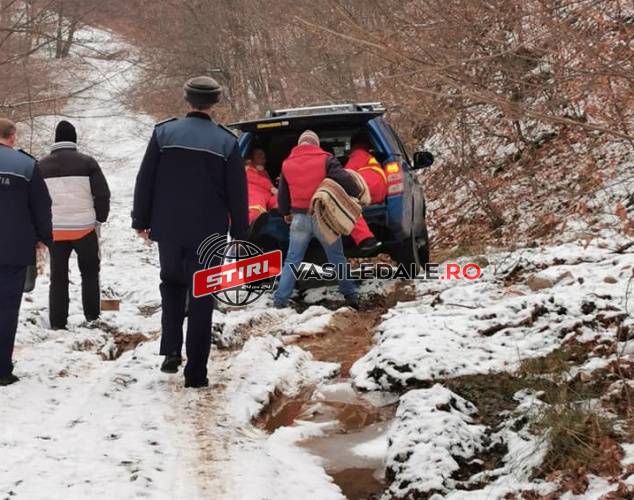 FOTO: Intervenție în pădurea de lângă Baia Sprie. Un bărbat căzut, cu un picior fracturat