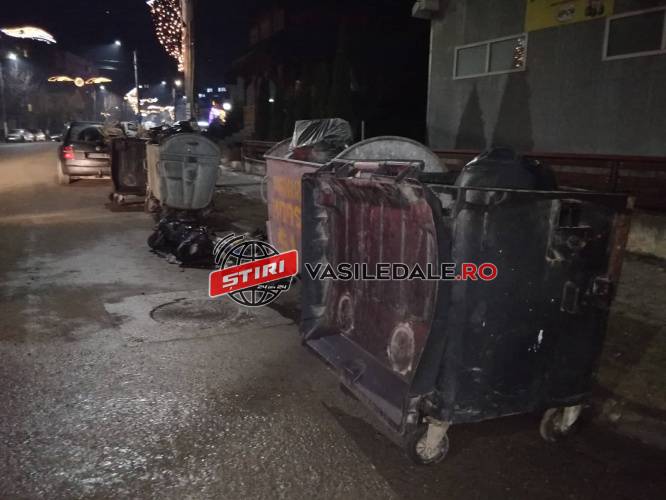 INCENDIU LA BORŞA: Un tomberon incendiat pe strada Floare de Colţ (FOTO)