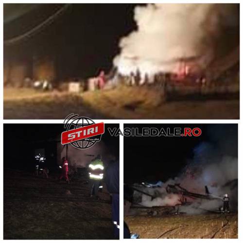 CB9DCB74-591E-4F62-8A72-D411174E228F