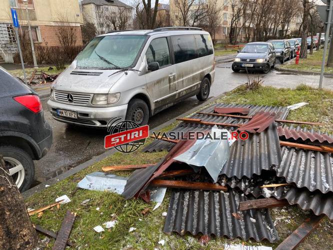 PHOTO-2020-02-11-15-21-14-1