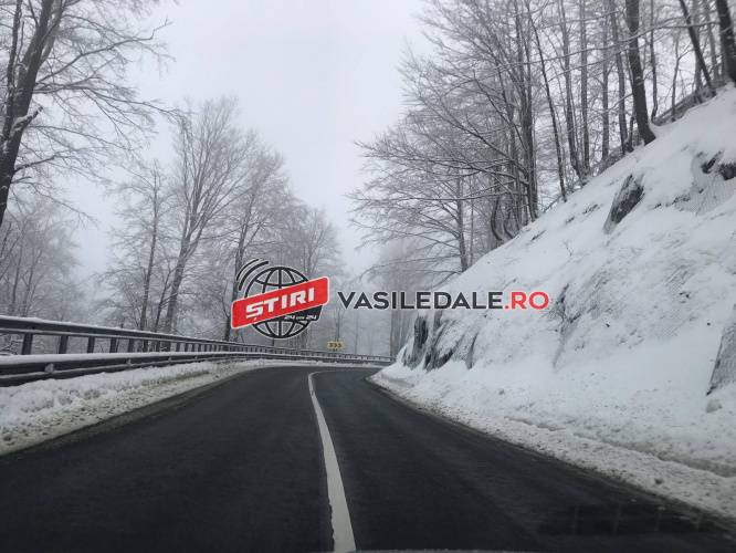 SITUAŢII DE URGENŢĂ: Măsuri pentru perioada atenționărilor meteorologice de vreme nefavorabilă cod galben și cod portocaliu