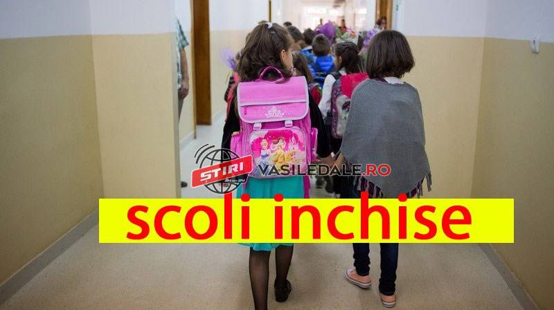 89771591_3414512948575879_7925676814016446464_n