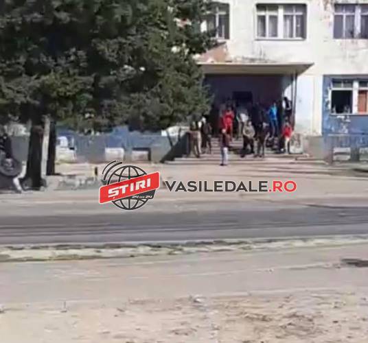 ÎȘI BAT JOC DE ROMÂNIA: Țiganilor de la Cuprom li se rupe de Ordonanța Militară. Au intervenit jandarmii, poliția și armata (FOTO/VIDEO)