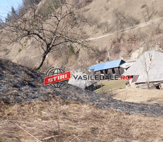 POIENILE DE SUB MUNTE: Incendiu de vegetaţie uscată, stins cu ajutorul voluntarilor şi al pădurarului (VIDEO)