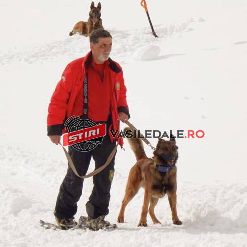 SALVAMONT BORŞA, cu Andreica Nicoară și câinele Athos, la Stagiul Național de Formare al Unităților Canine pentru Intervenția la Avalanșă SALVAMONT BORŞA, cu Andreica Nicoară și câinele Athos, la Stagiul Național de Formare al Unităților Canine pentru Intervenția la Avalanșă