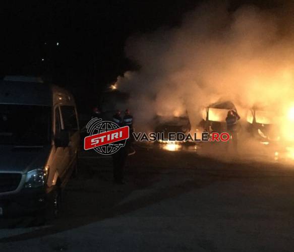 FOTO VIDEO EXCLUSIV LA BORȘA: 13 microbuze și o camionetă ale fostului deputat Nuțu Fonta au fost incendiate. Polițiștii au alertat pompierii (actualizare)