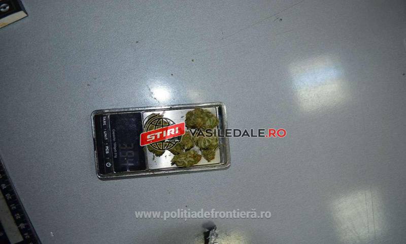 FOTO: Doi maramureșeni prinși cu canabis în Sighetu Marmaţiei