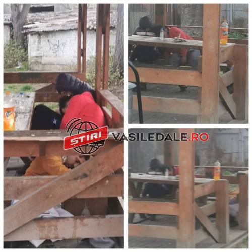 FOTO, VIDEO EXCLUSIV: Trei tineri drogaţi dorm unul în braţele celuilalt într-un foişor de pe str. Gh. Bilaşcu din Baia Mare