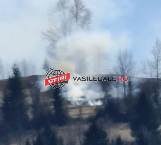 GALERIE FOTO/VIDEO: Două incendii de vegetație uscată la Poienile de Sub Munte
