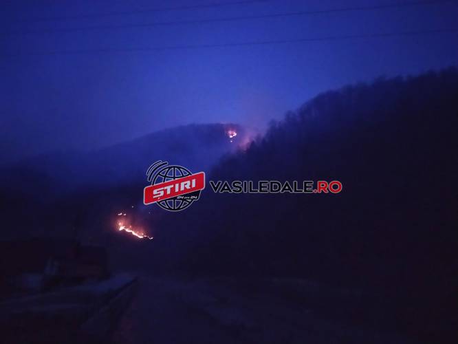 GALERIE FOTO: Incendii violente de pădure la Vișeu de Sus pe Valea Vaserului și în zona Rădeasa