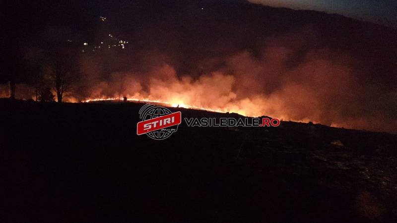 FOTO: Incendiu de vegetaţie uscată la Moisei în seara de Înviere