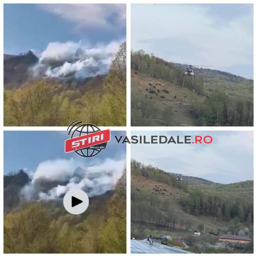 ACTUALIZARE / GALERIE FOTO, VIDEO: Incendiu puternic la Pietrele Şoimului. Elicopterul MAI intervine