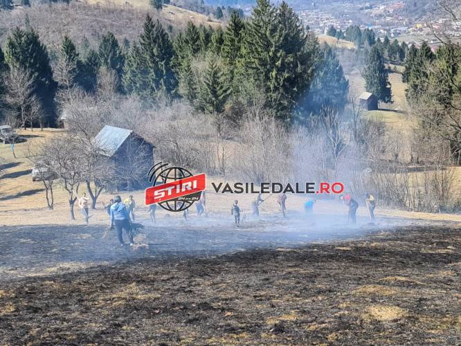 INCENDIU DE VEGETAŢIE USCATĂ LA BUZEŞTI: O femeie de 83 de ani a murit (actualizare)