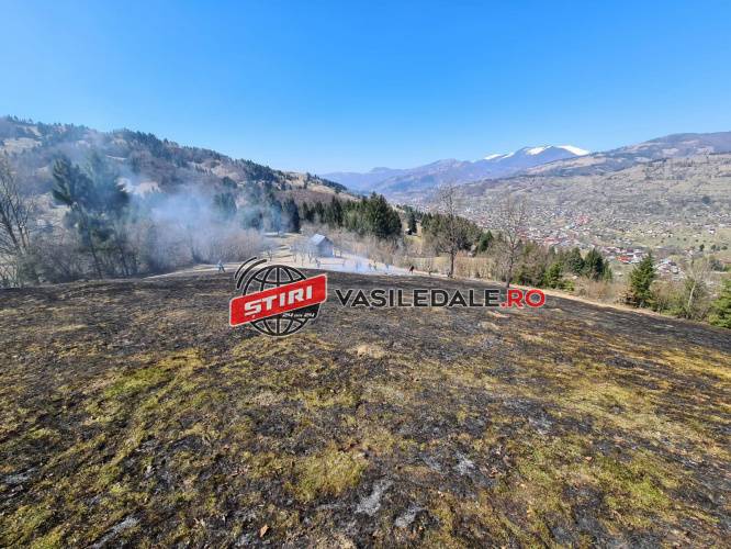 INCENDII DE VEGETAȚIE ÎN TOT JUDEȚUL: Apelul pompierilor din Maramureş INCENDII DE VEGETAȚIE ÎN TOT JUDEȚUL: Apelul pompierilor din Maramureş