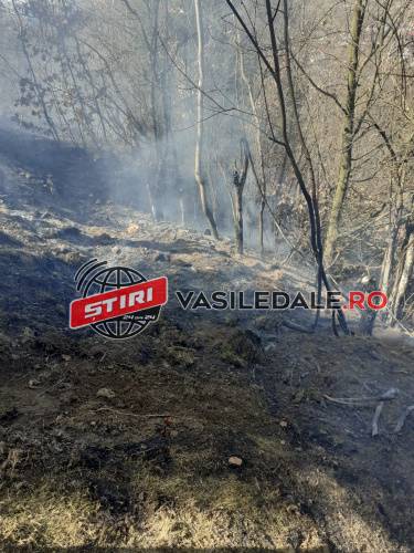 INCENDII ÎN LANȚ: În perioadele de caniculă și secetă, arderea miriștilor şi vegetației uscate este interzisă! e Şapte incendii de vegetație uscată într-o singură zi