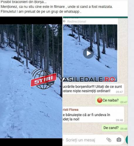 VIDEO – SUSPECȚII AR FI BORȘENI: Imagini şocante cu doi cerbi care agonizează după ce-au fost împuşcaţi. Braconierul admite masacrul: „Stăteau prea fain, dă-i în p**a mea!“