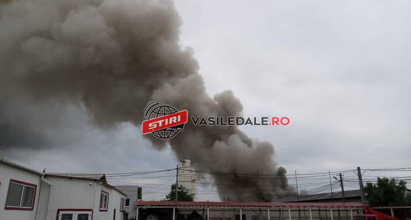 FOTO, VIDEO: Hală în construcţie din Baia Mare, mistuită de flăcări