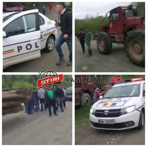 poienile de sub munte