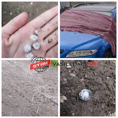 FOTO, VIDEO: Ploaia şi grindina au făcut prăpăd la Lăpuş şi Suciu de Sus