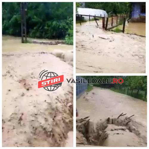 GALERIE FOTO, VIDEO: Inundaţii la Curtuiuşu Mare după o rupere de nori