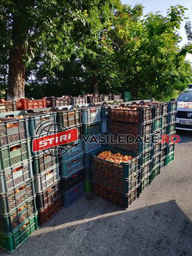 COMBATEREA EVAZIUNII FISCALE ȘI A CONTRABANDEI: Au fost confiscate peste 2.000 kg de legume şi fructe, fără documente legale