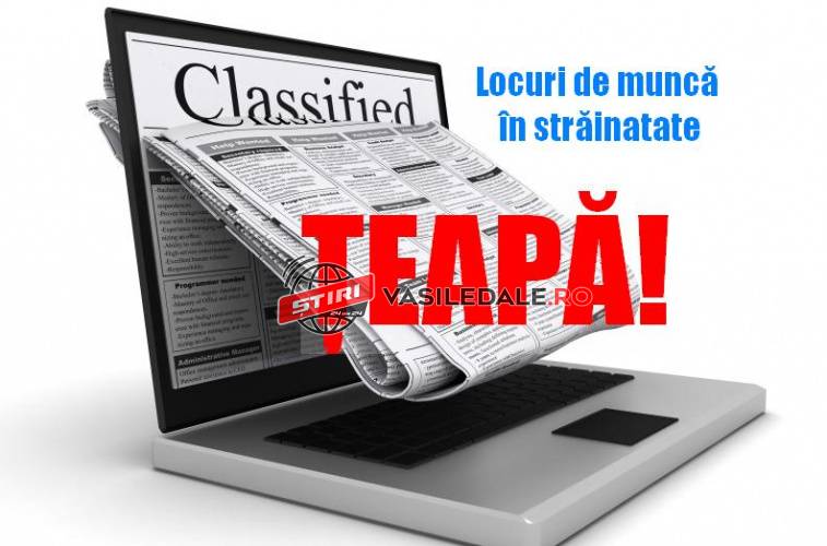 ÎNŞELĂTORIE: Ţepuiţi după ce au răspuns unui anunţ online de locuri de muncă la o seră de flori din Olanda
