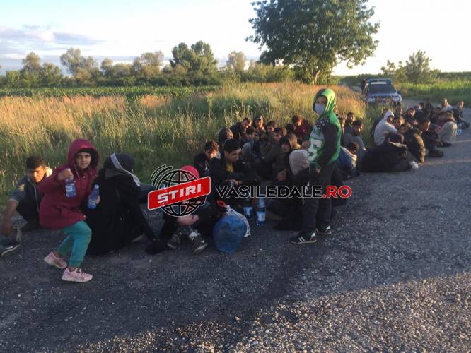FOTO, VIDEO: Zeci de migranţi descoperiţi într-o localitate din Timiş, opt fugiţi din centrul din Şomcuta Mare. Au plătit mii de euro să ajungă în Germania