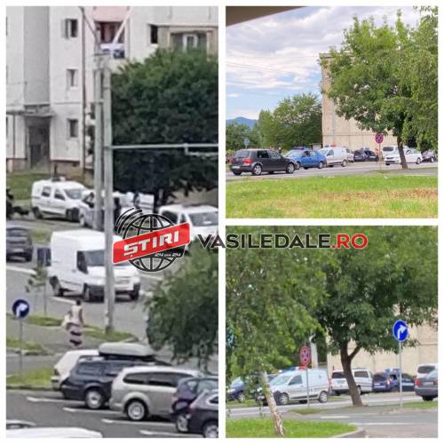EXCLUSIVITATE – Galerie foto: Percheziții pe strada Grănicerilor din Baia Mare. Se caută droguri