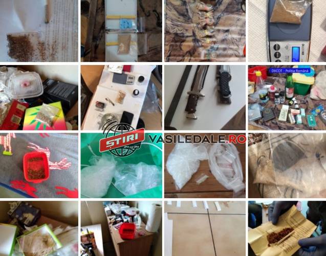 EXCLUSIV: Galerie foto – Mafia drogurilor de pe strada Grănicerilor din Baia Mare se întinde până la Oradea și în Ungaria. Zorro și Frunzulina au fost ridicați de mascați