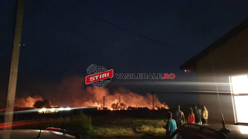 FOTO/VIDEO: Incendiu violent în zona Gării CFR din Seini