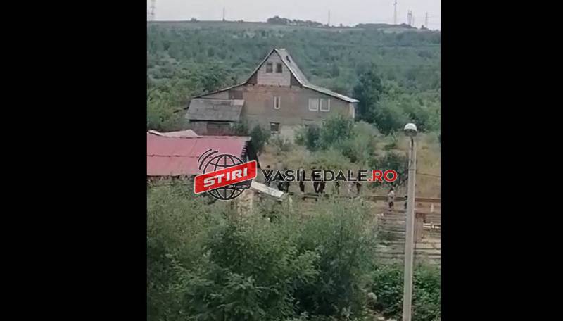 FOTO / VIDEO EXCLUSIV: Scandal pe Craica. Au intervenit trupele jandarmeriei și poliției
