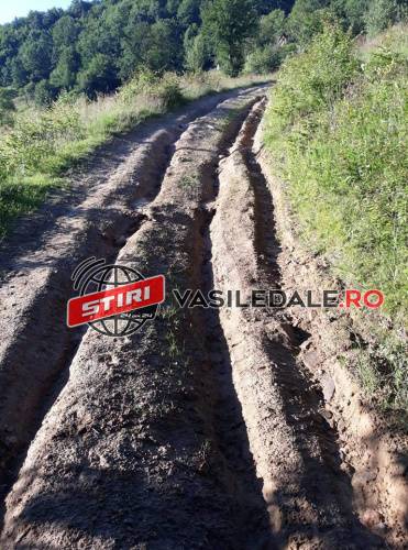 FOTO EXCLUSIV – CA-N EVUL MEDIU LA CRASNA VIȘEULUI: 40 de familii merg prin tranșee pentru a ajunge la gospodării