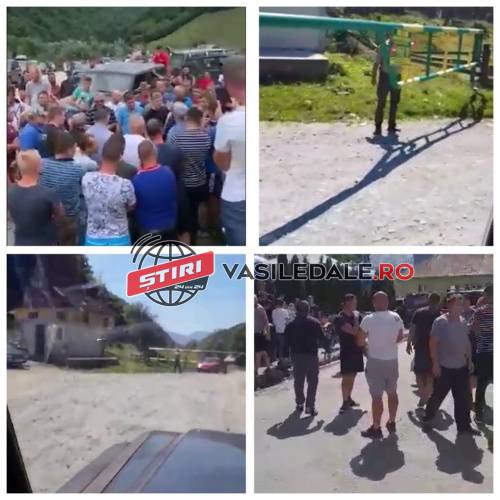 poienile de sub munte