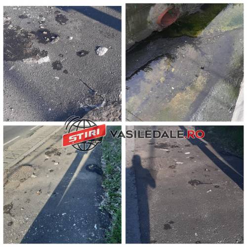 EXCLUSIV VIDEO: NEW YORK-ul Maramureșului – Tăuții Măgherăuș un oraș urât-mirositor. Noua canalizare refulează rahatul în curțile oamenilor