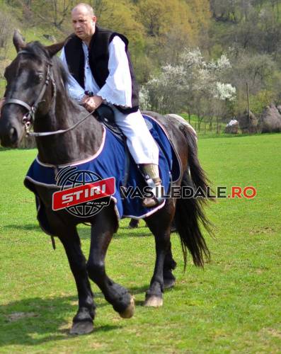 BOMBA ZILEI: Decalogul Lupului Singuratic