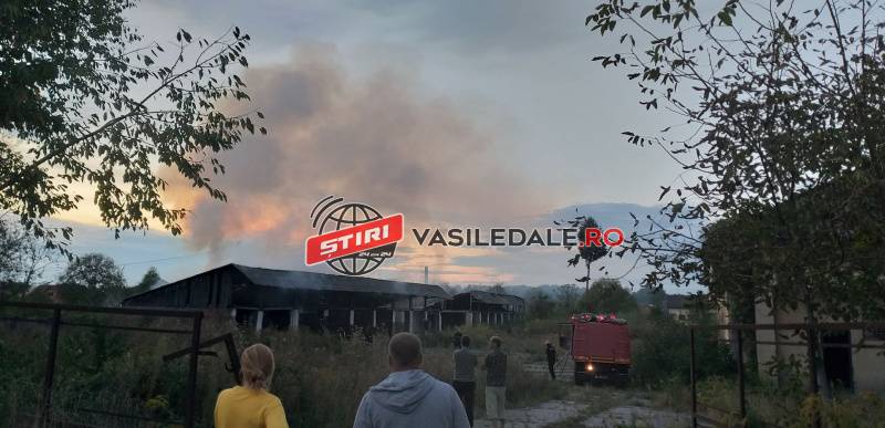 GALERIE FOTO: Incendiu la o hală din Sighetu Marmaţiei