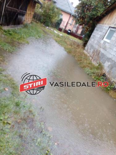 ATENȚIONARE METEOROLOGICĂ: Ploi însemnate în Maramureş, străzi inundate la Târgu Lăpuş (FOTO CITITORI)