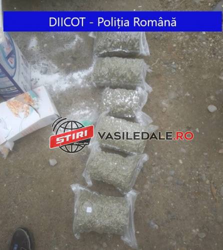 FOTO: FLAGRANT – COCAINĂ și cannabis în valoare de 43.000 euro depistate în Sighetu Marmației (actualizare)